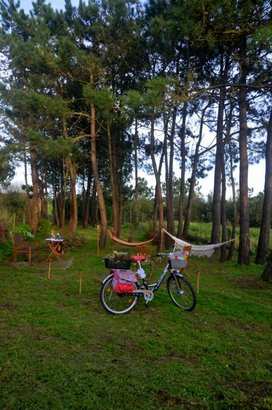 Happy Cat House - Holiday Rental São Martinho do Porto Extérieur photo