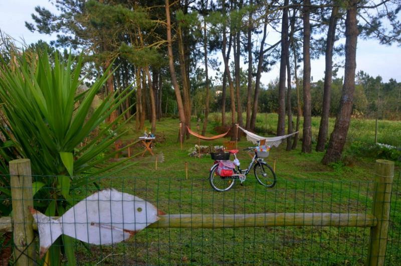 Happy Cat House - Holiday Rental São Martinho do Porto Extérieur photo